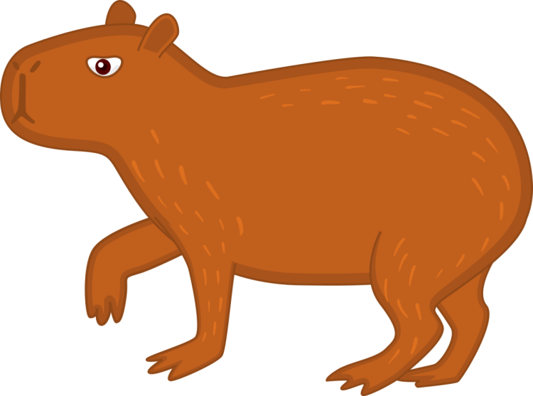 Капибара на белом фоне