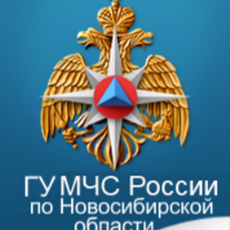 Символика МЧС