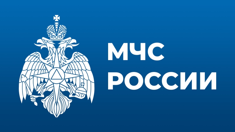 МЧС логотип
