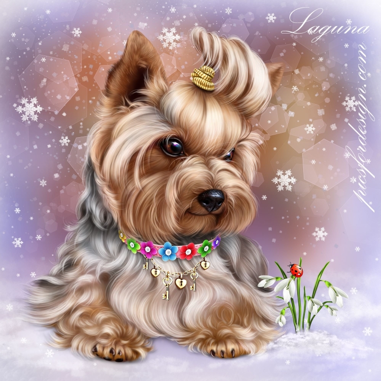 Открытки с изображением йоркширского терьера