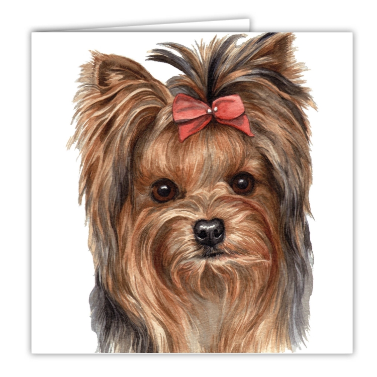 Йоркширский терьер гипоаллергенный