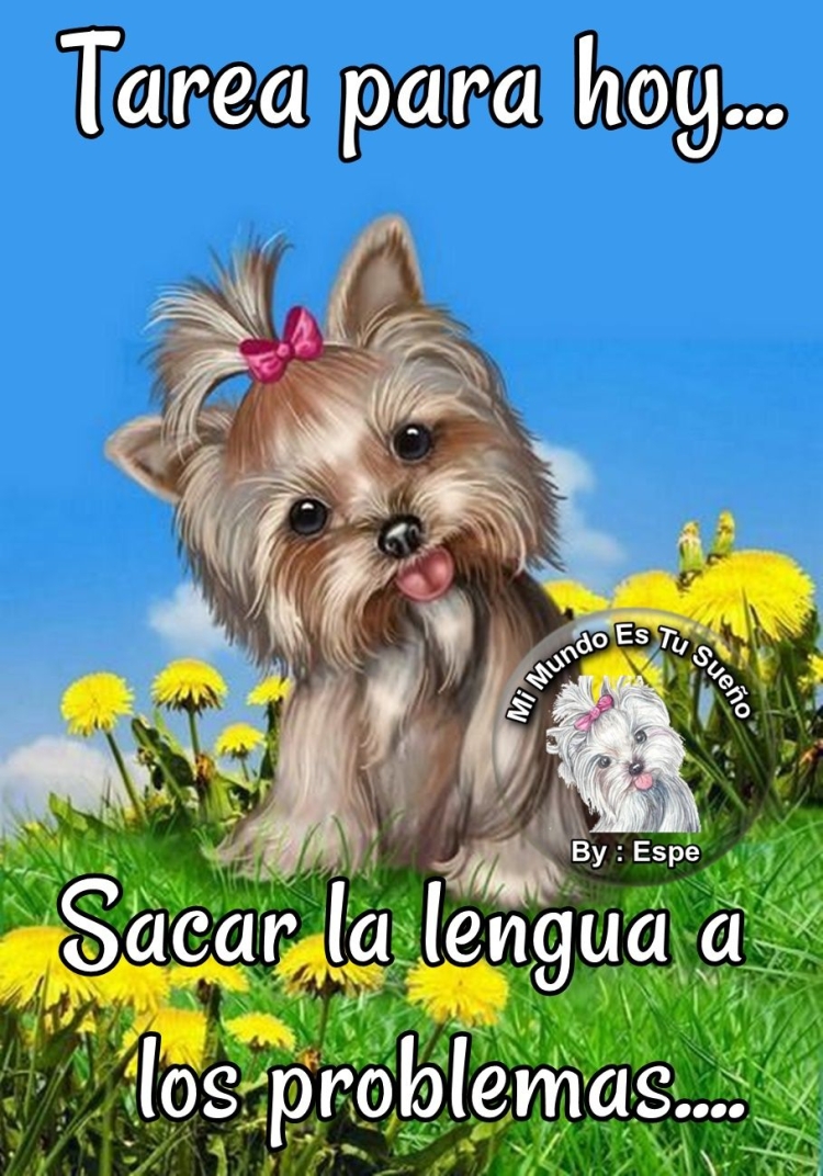 Красивые открытки с собачками