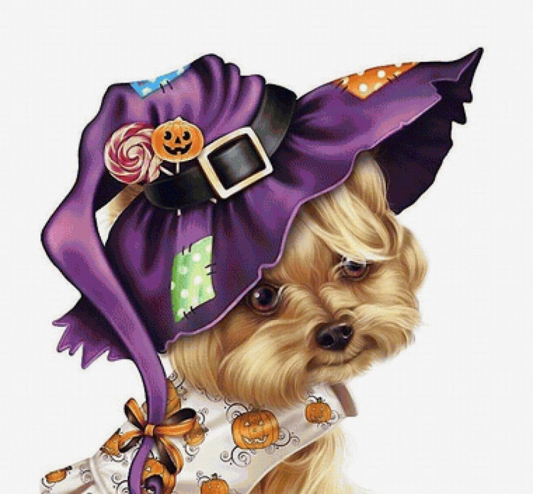 Кавайный Йоркширский терьер