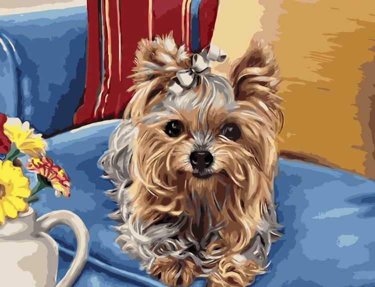 Собака ёршик терьер