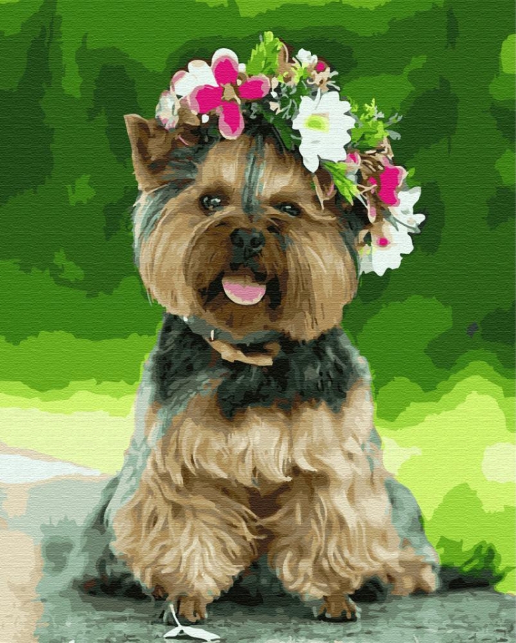 Йоркширский терьер