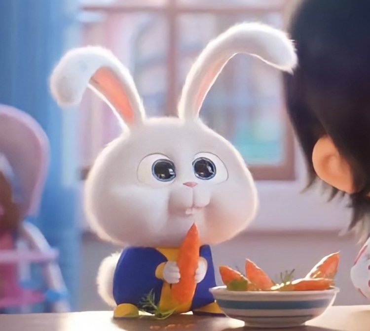 Тайная жизнь домашних животных заяц снежок