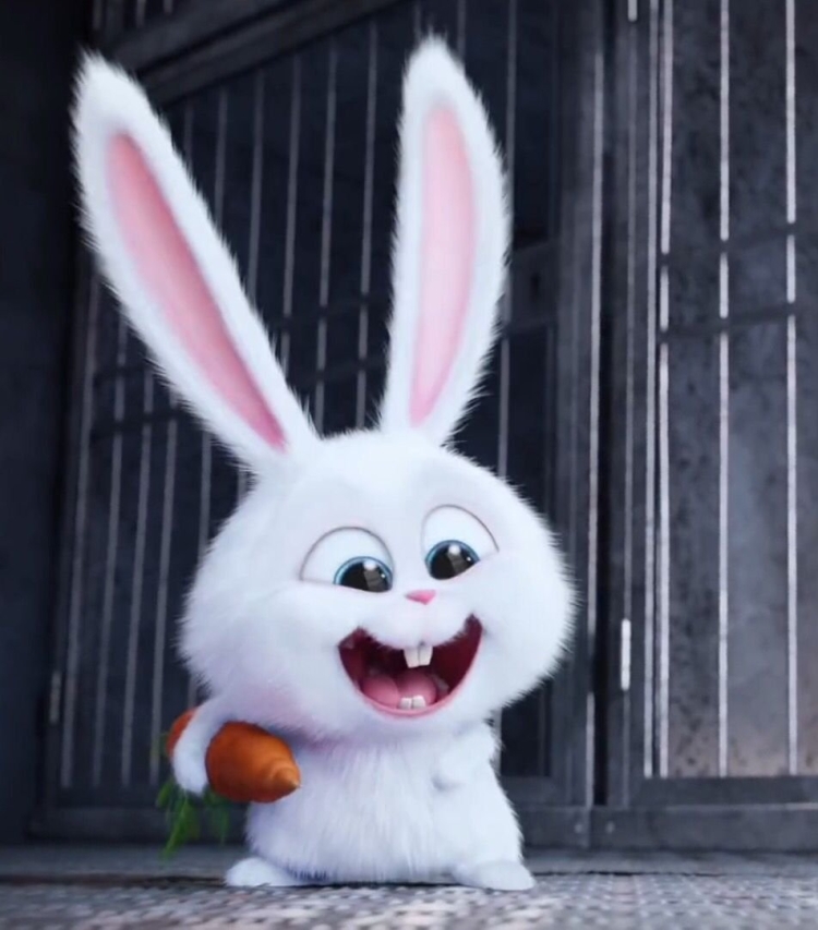 Кролик снежок Тайная жизнь домашних животных 1