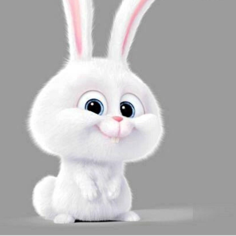 Тайная жизнь домашних животных мультфильм кролик снежок