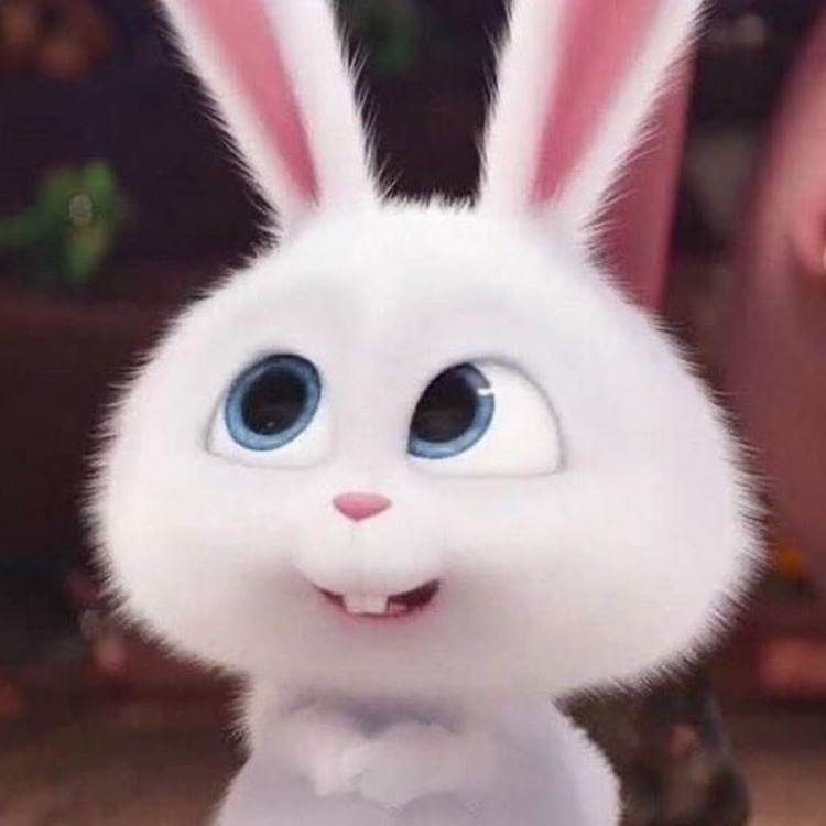 Кролик снежок Тайная жизнь домашних 2