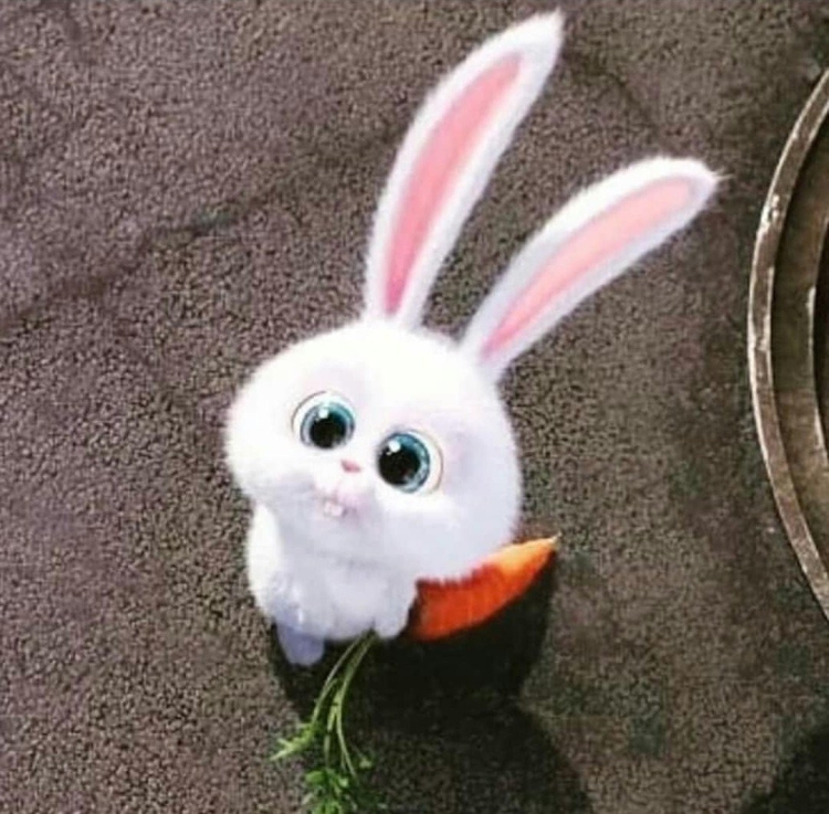 Зайка из мультика Тайная жизнь