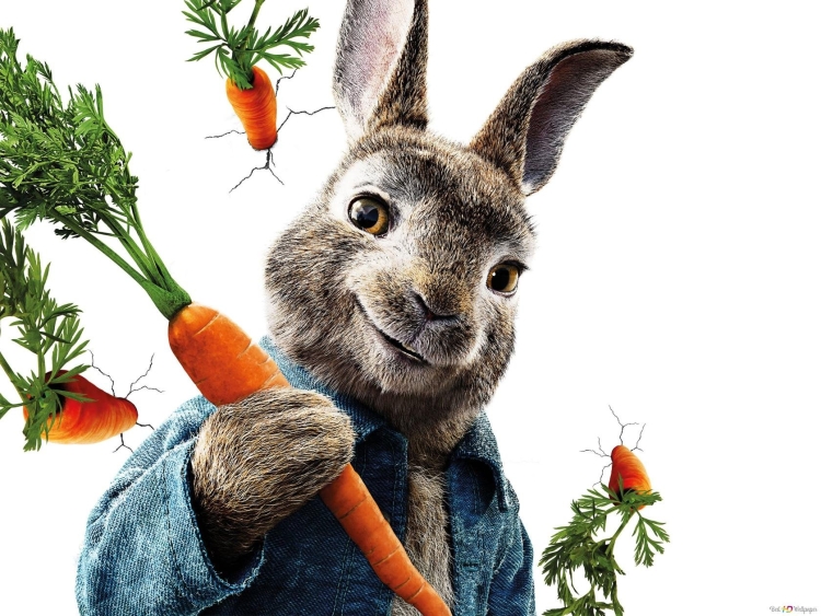 Peter Rabbit