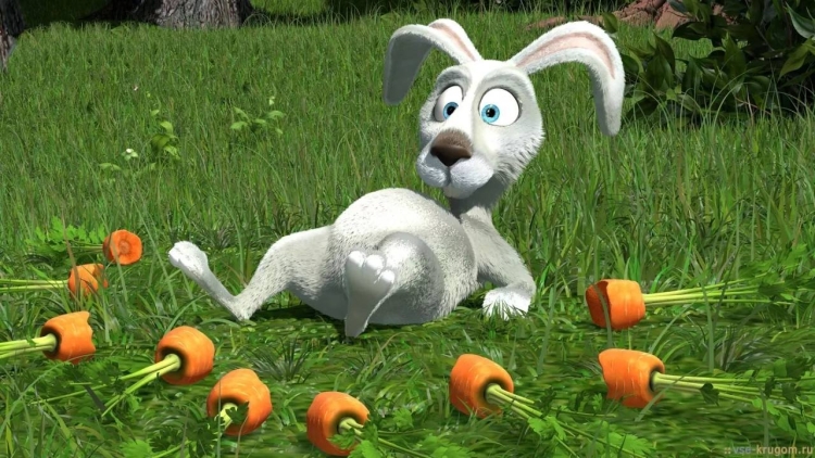 Заяц из Маши и медведя