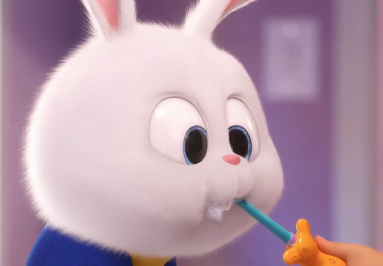 Кролик с мультфильма Тайная жизнь