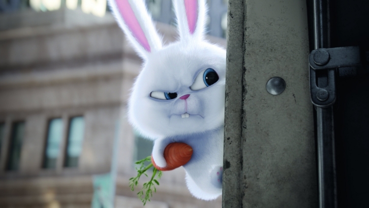 Тайная жизнь домашних животных