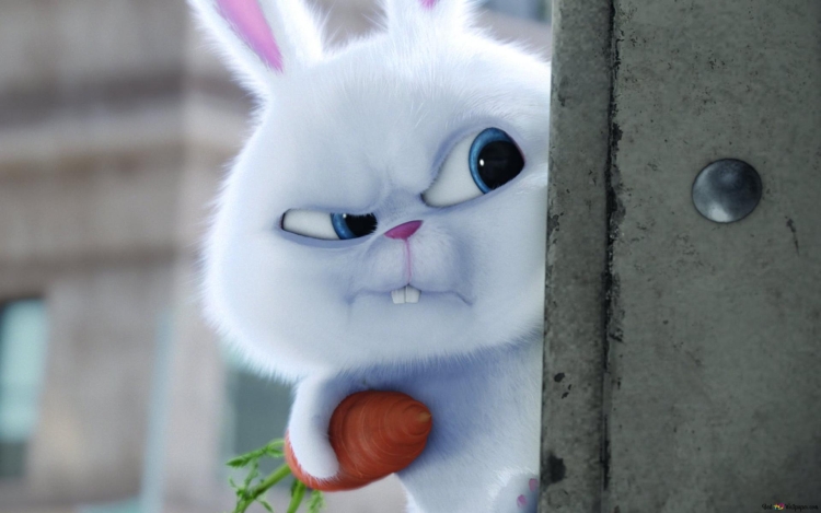 Тайная жизнь домашних животных заяц снежок