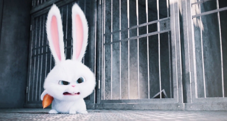 Заяц снежок из Тайная жизнь домашних животных