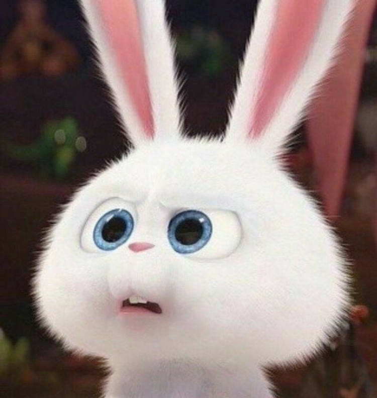 Тайная жизнь домашних животных кро