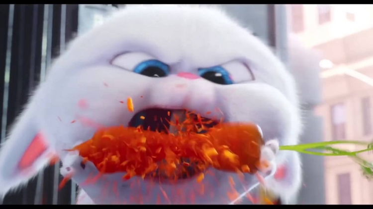 Тайная жизнь домашних животных кролик злой