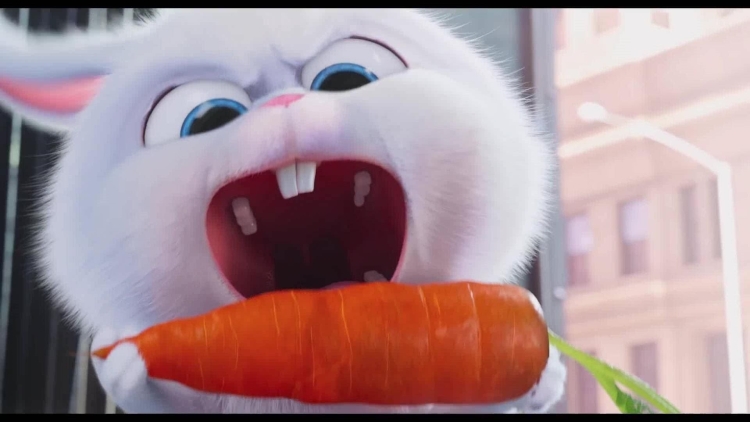 Кролик снежок Тайная жизнь домашних животных 1