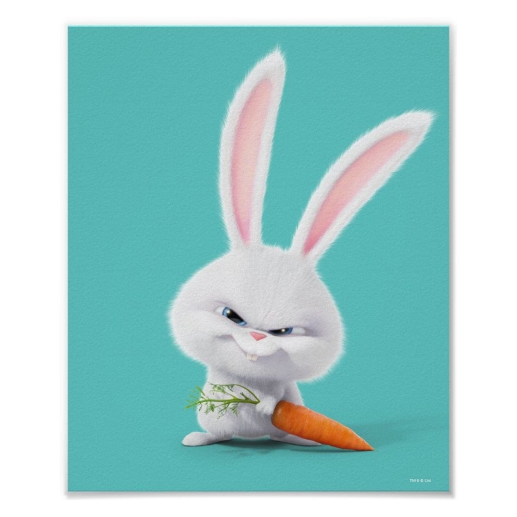 Тайная жизнь домашних животных кролик