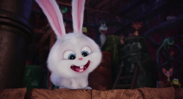 Тайная жизнь домашних кролик снежок