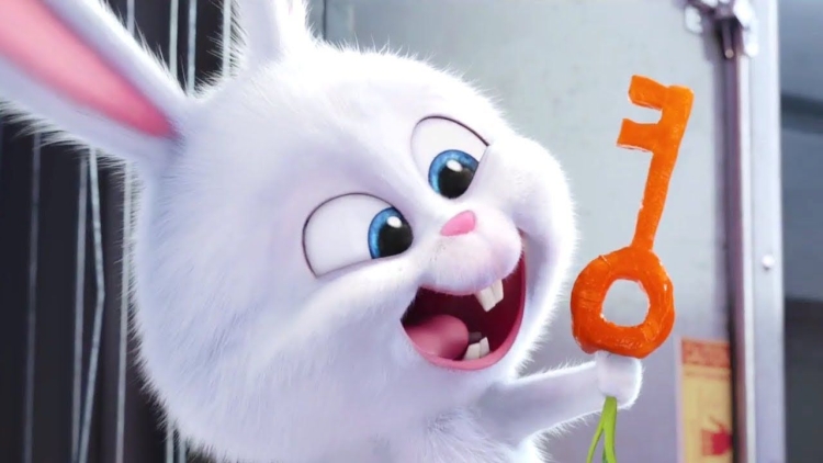 Снежокмтайная жизнь домашних