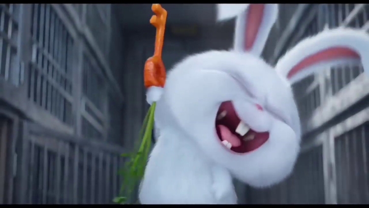 Кролик снежок Тайная жизнь домашних животных 1