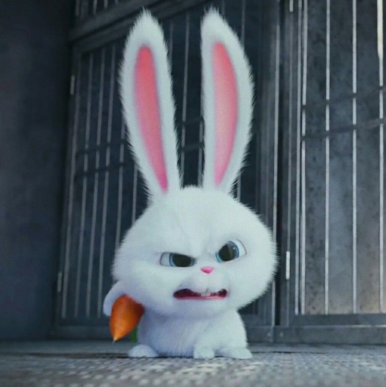 Кролик из мультика Тайная жизнь