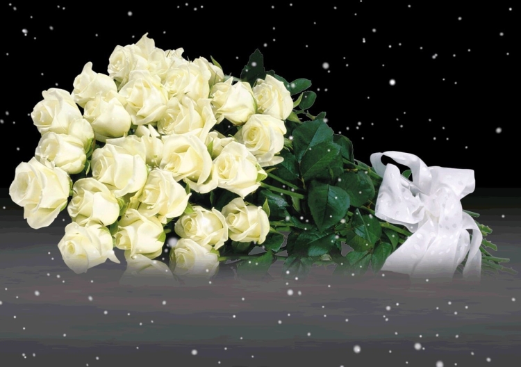Белые розы картинка с днем рождения