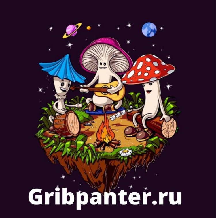 Психоделические грибы арт