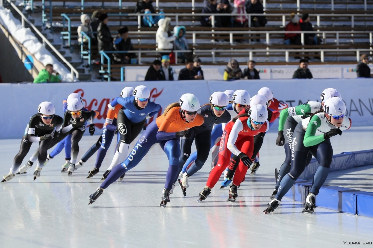 Конькобежный вид спорта