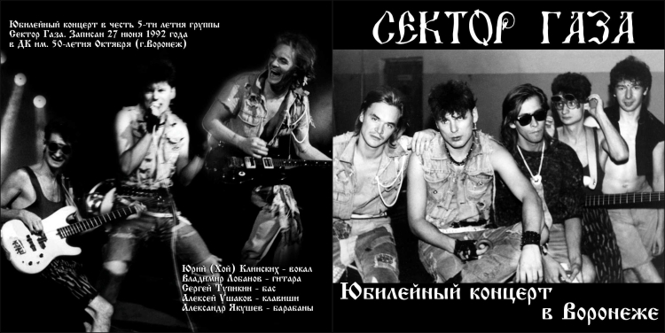 Панк рок группа сектор газа