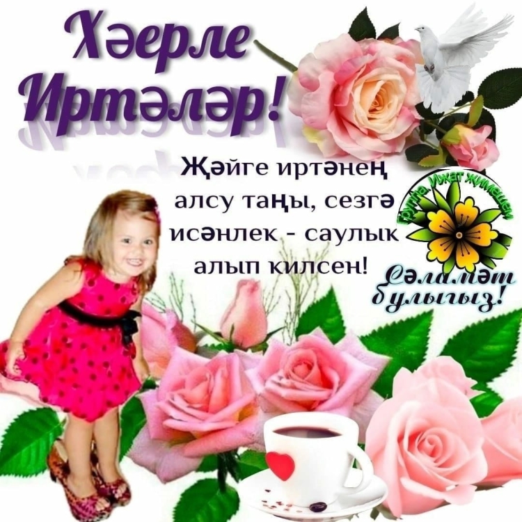 Матурларым новинки