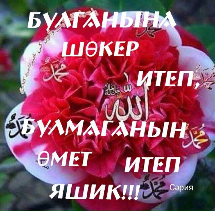 Хэерле кон Рамиль