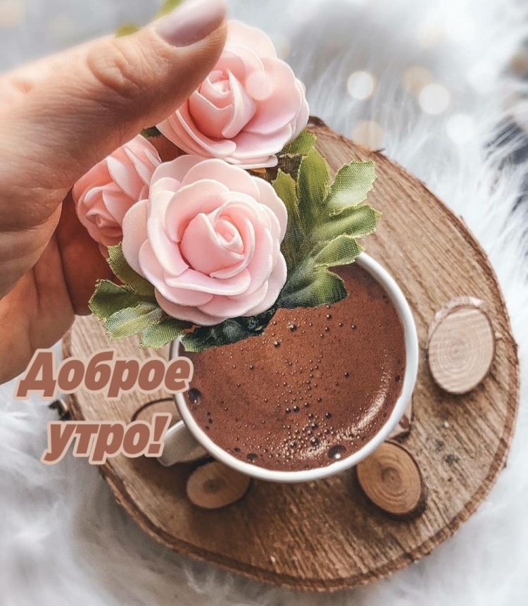 Необычные открытки с добрым утром