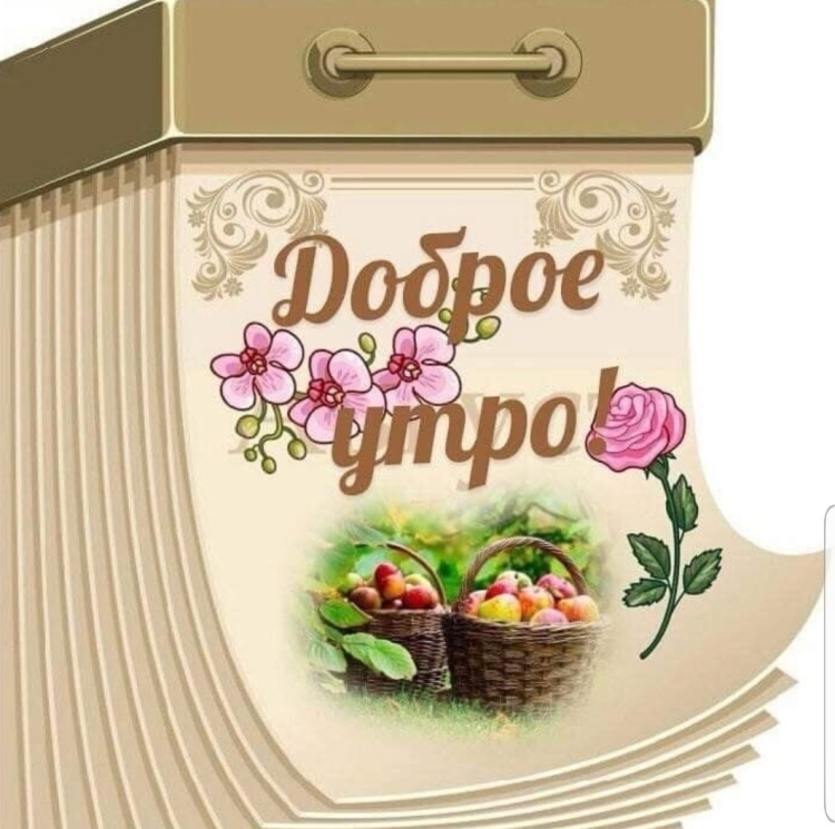 Стикеры с цветами и надписями доброе утро