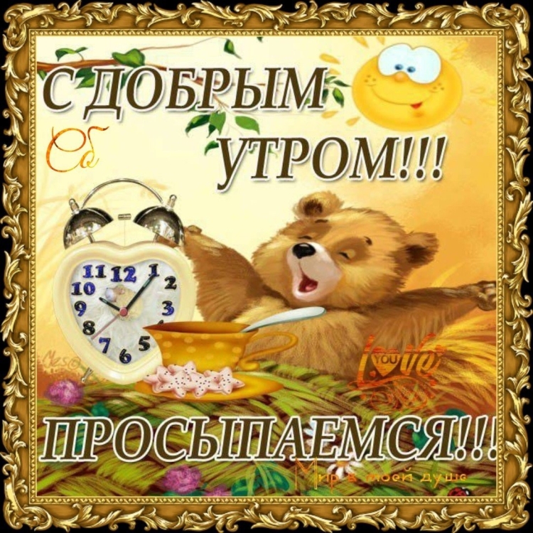 Проснулись с добрым утром