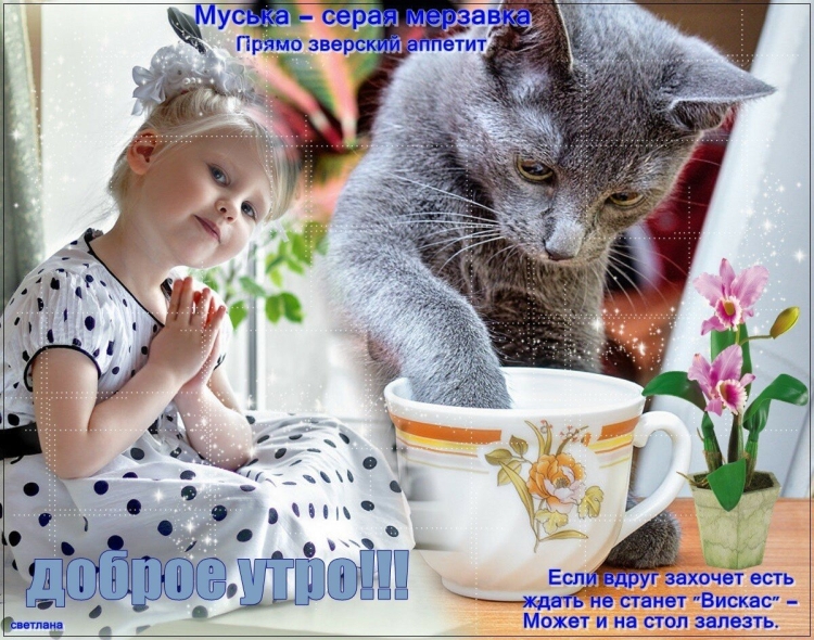 Пожелания доброго утра с детьми и животными