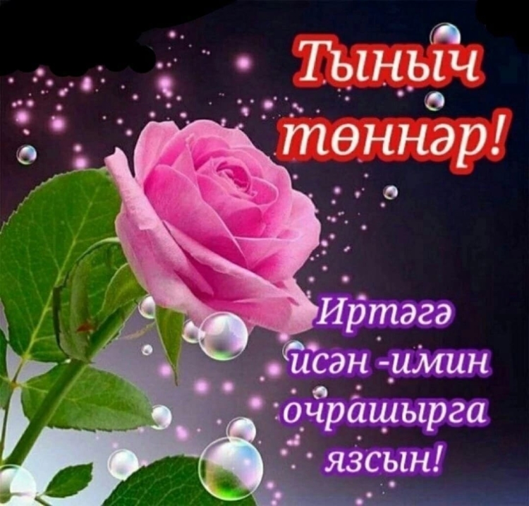 Спокоинои ночи на тата