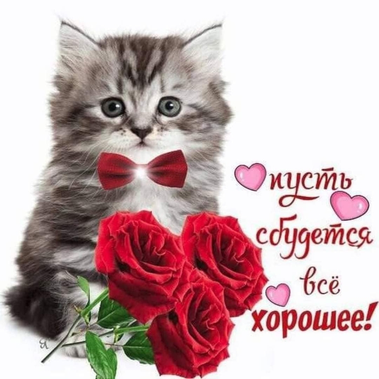 Доброе утро Леночка