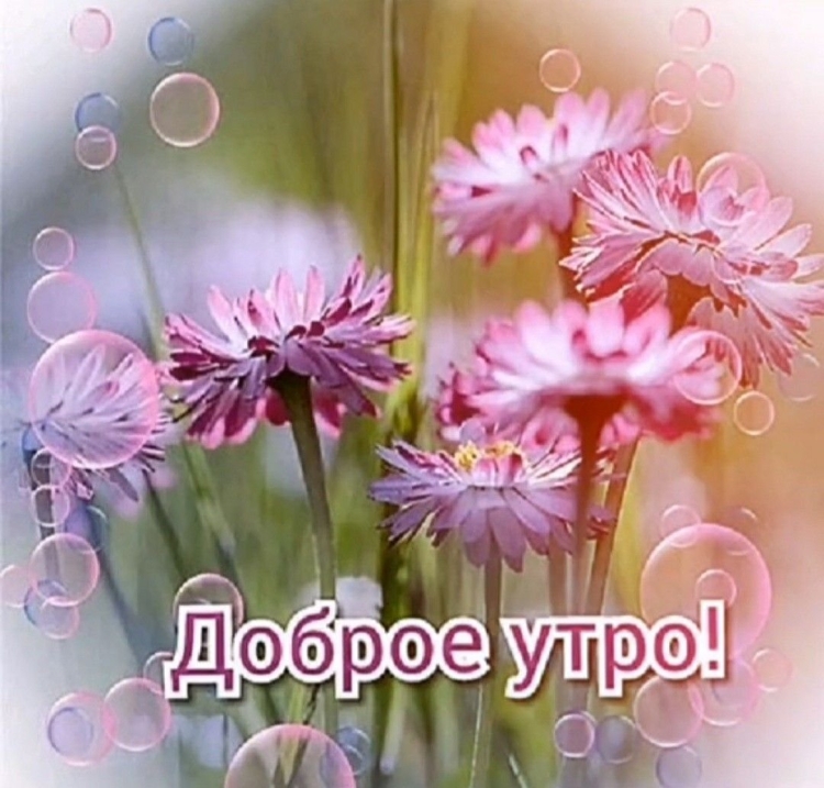 Прекрасного настроения в дождливое утро
