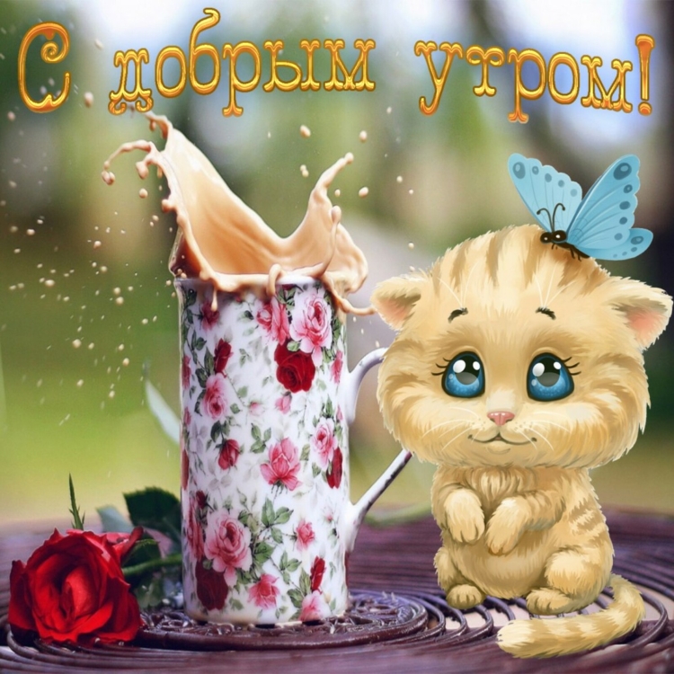 Открытки с добрым утром прикольные