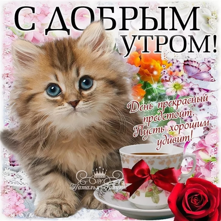 Пожелания с добрым утром с котятами