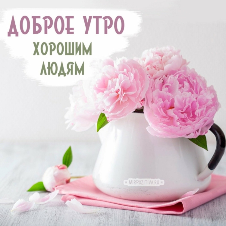 Нежные поздравления с добрым утром