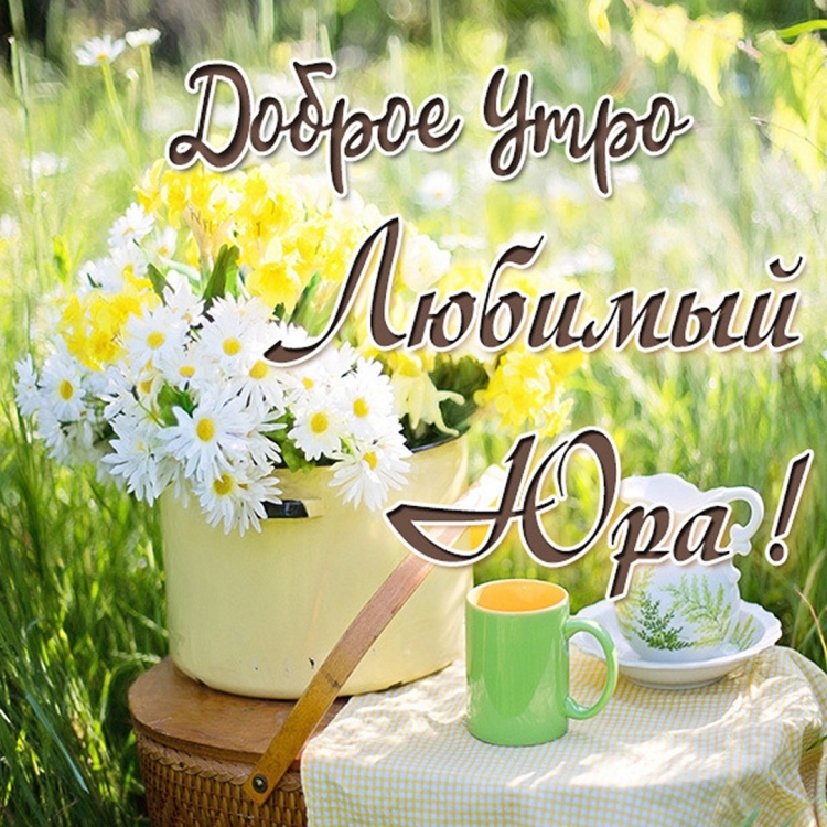 Доброе летнее утро пожелания