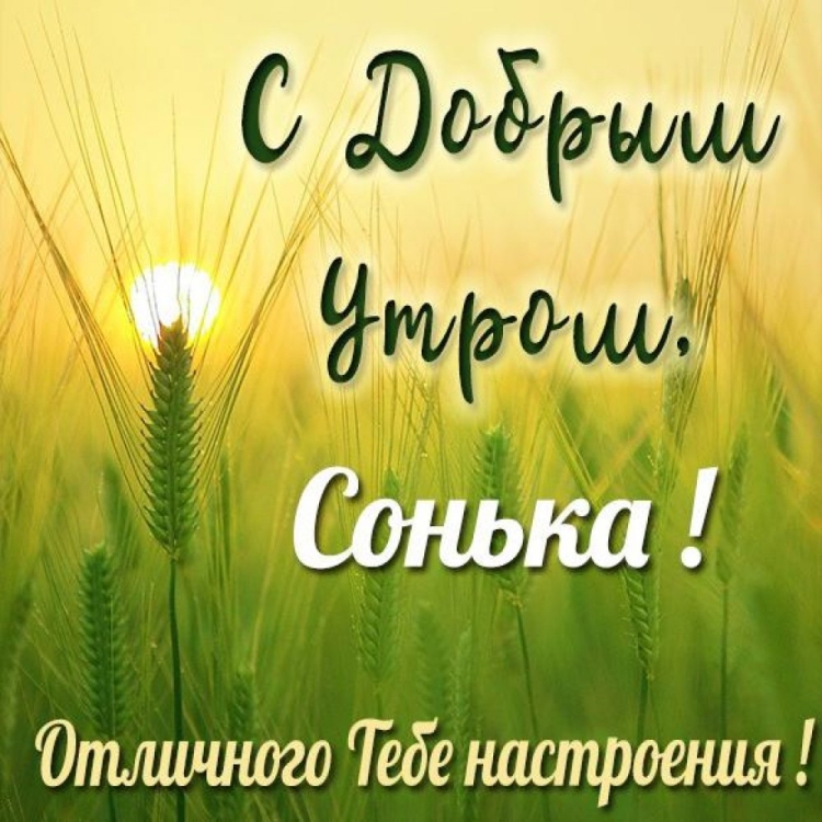 Доброе утро Леночка открытки