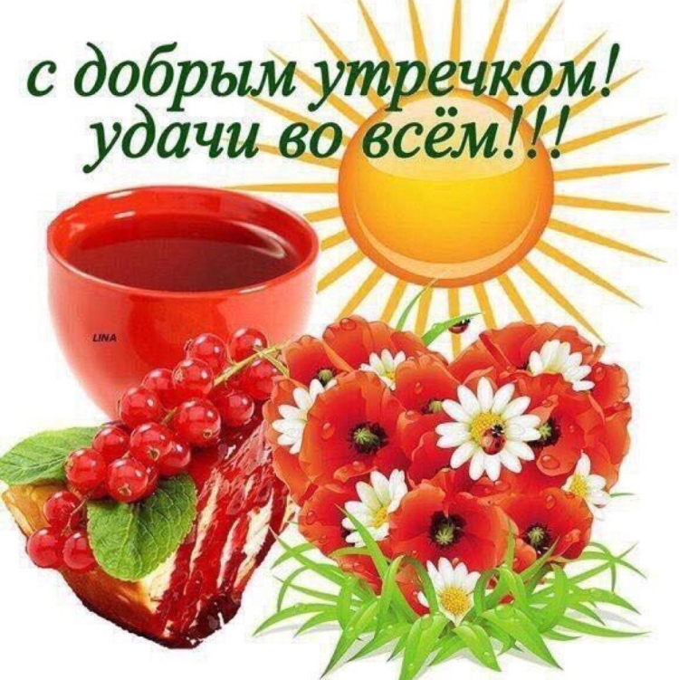 Открытка с добрым утром хорошего дня