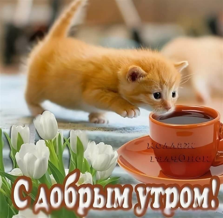 Открытки с добрым утром