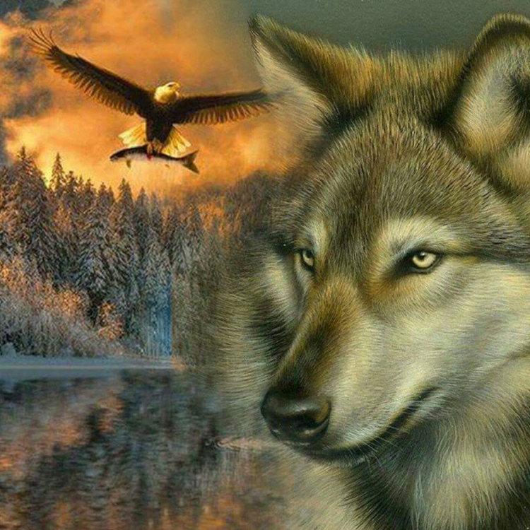 Волк и орел картинки