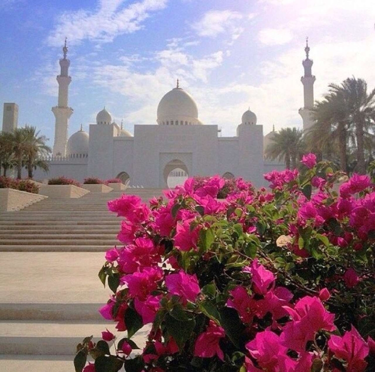 Храни вас Аллах